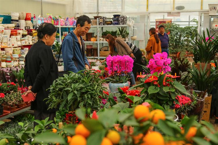 【第一眼】春意濃 花俏俏 你家的春來(lái)來(lái)了嗎？