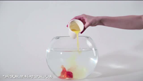 網(wǎng)絡宣傳片 凈網(wǎng)