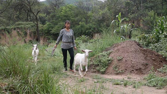 你好，新生活再見，舊窯洞——劉會玲的幸福日子