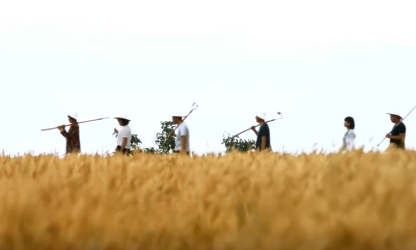 【脫貧攻堅第一線】看環(huán)縣關(guān)營村，花海、火龍果、生態(tài)雞、醬香驢……體驗走