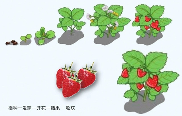 【防疫科普】如何利用園藝療法保持復(fù)工后身心健康？