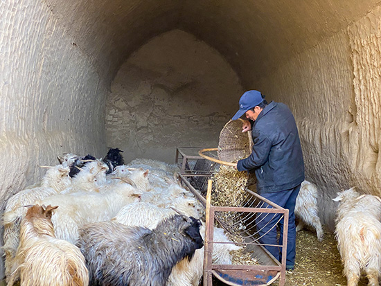 【新春走基層】從貧困戶到“致富帶頭人”，6年間他的生活迎來巨變！