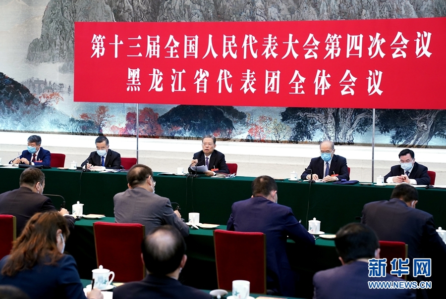 （兩會受權發(fā)布）趙樂際參加黑龍江代表團審議
