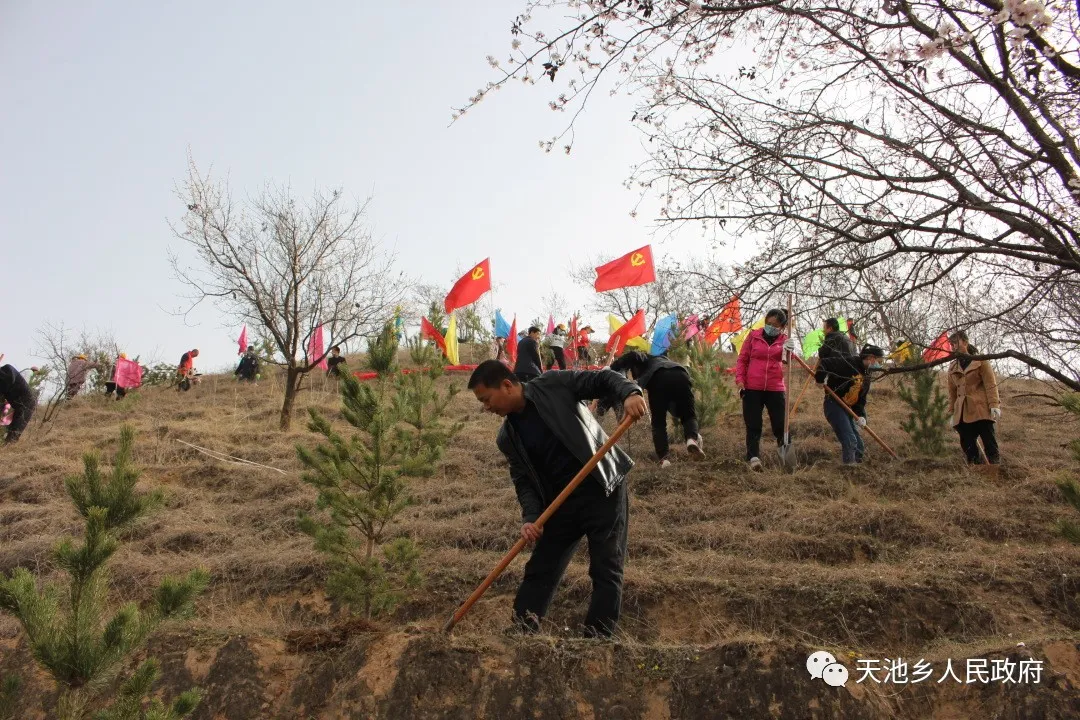 環(huán)縣天池鄉(xiāng)開展“學黨史、感黨恩、植新綠、美家園”義務(wù)植樹周活動