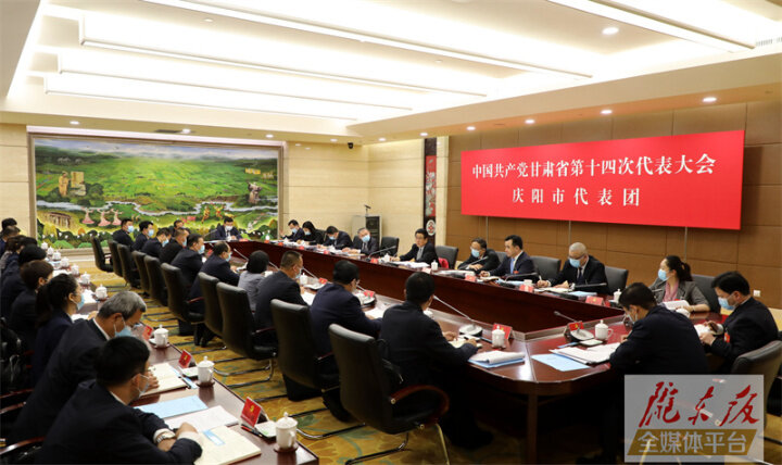 林鐸在慶陽市代表團(tuán)討論省第十四次黨代會(huì)報(bào)告