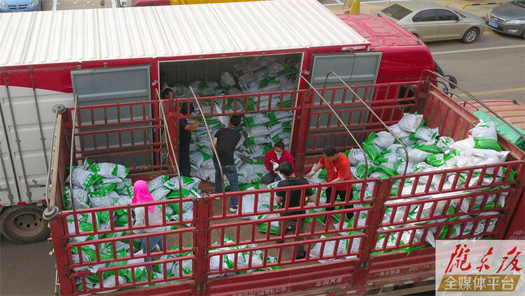 【奮進新征程 建功新時代】一顆羊糞一粒“金”——甘肅金紫花農(nóng)牧有限公司羊糞銷售目擊記