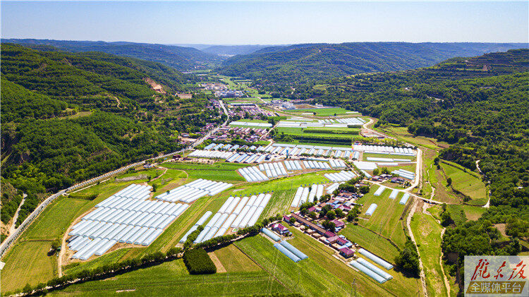 【奮進(jìn)新征程 建功新時(shí)代】體驗(yàn)農(nóng)趣、享受風(fēng)光、游覽古跡，這片瓜菜產(chǎn)區(qū)竟別有洞天