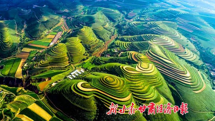 “羊”名立萬正當(dāng)時(shí)——環(huán)縣念羊經(jīng)、興羊業(yè)、發(fā)羊財(cái)促進(jìn)鄉(xiāng)村振興發(fā)展