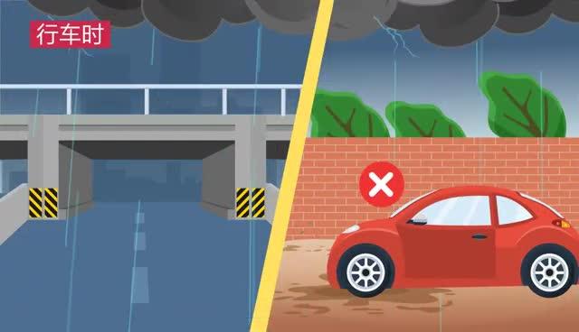 【MG動(dòng)畫】一起來(lái)學(xué)《反有組織犯罪法》！