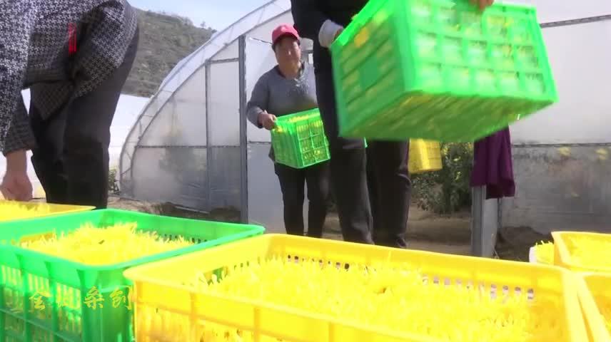 【我的慶陽(yáng)我的愛(ài)】創(chuàng)業(yè)創(chuàng)新 活力迸發(fā)