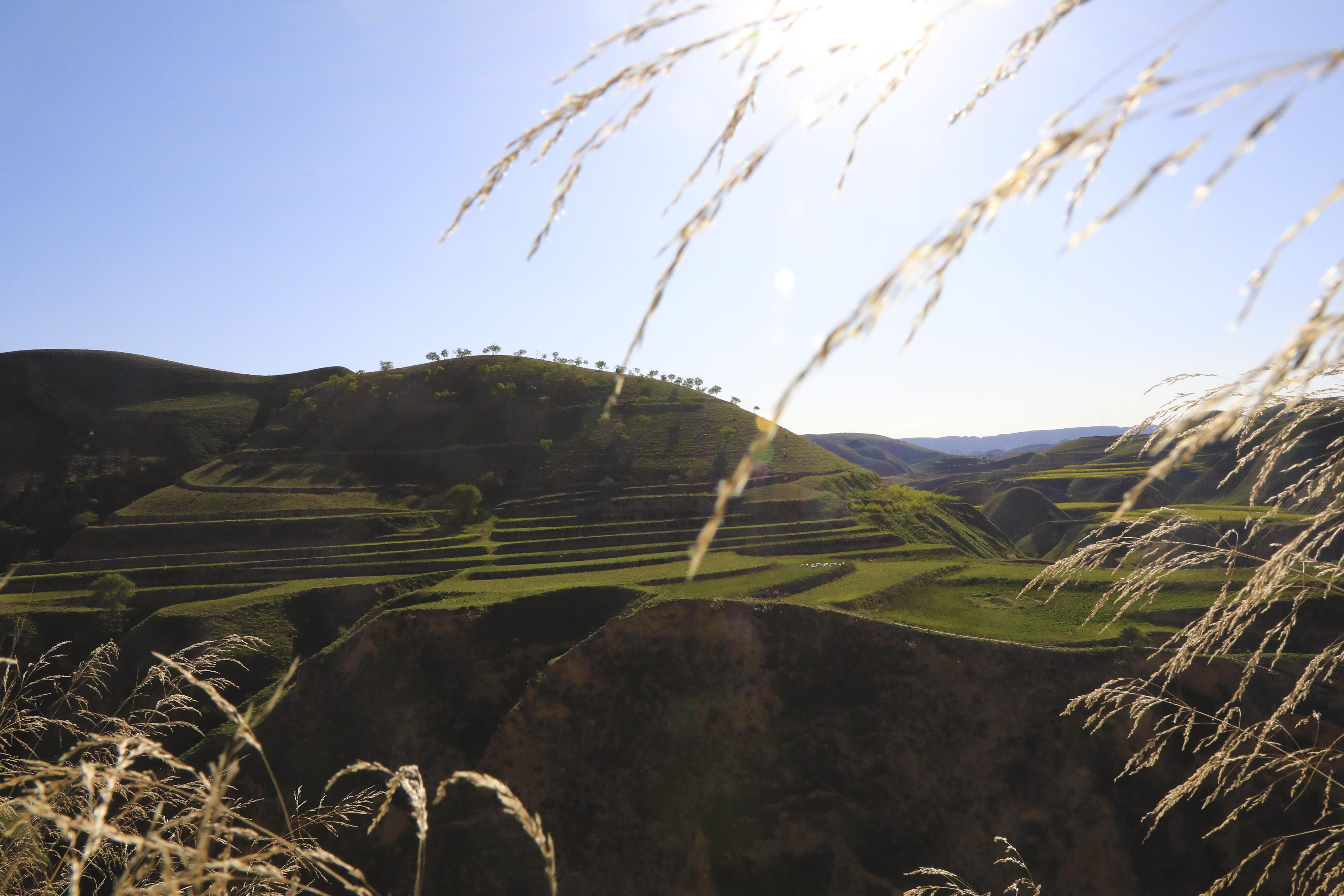尚德琪｜古詩(shī)詞里有老家
