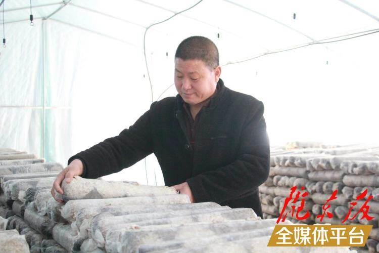 西峰區(qū)后官寨鎮(zhèn)司官寨村食用菌基地，工作人員在整理菌棒。本報記者 南力 攝