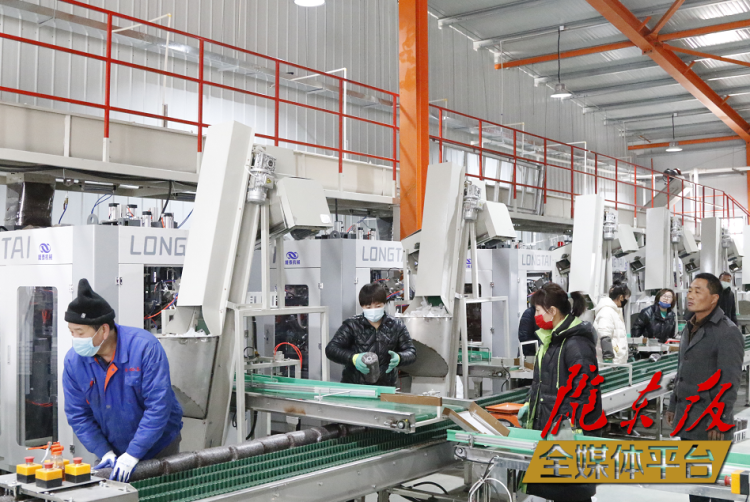 慶陽黑木耳菌種選育基地位于西峰區(qū)彭原鎮(zhèn)鄢旗坳村現(xiàn)代農(nóng)業(yè)產(chǎn)業(yè)園，占地56243平方米，總投資1.3億元，計劃分兩期實施。圖為黑木耳菌種全自動、一體化生產(chǎn)線。本報記者 馬小隆 攝