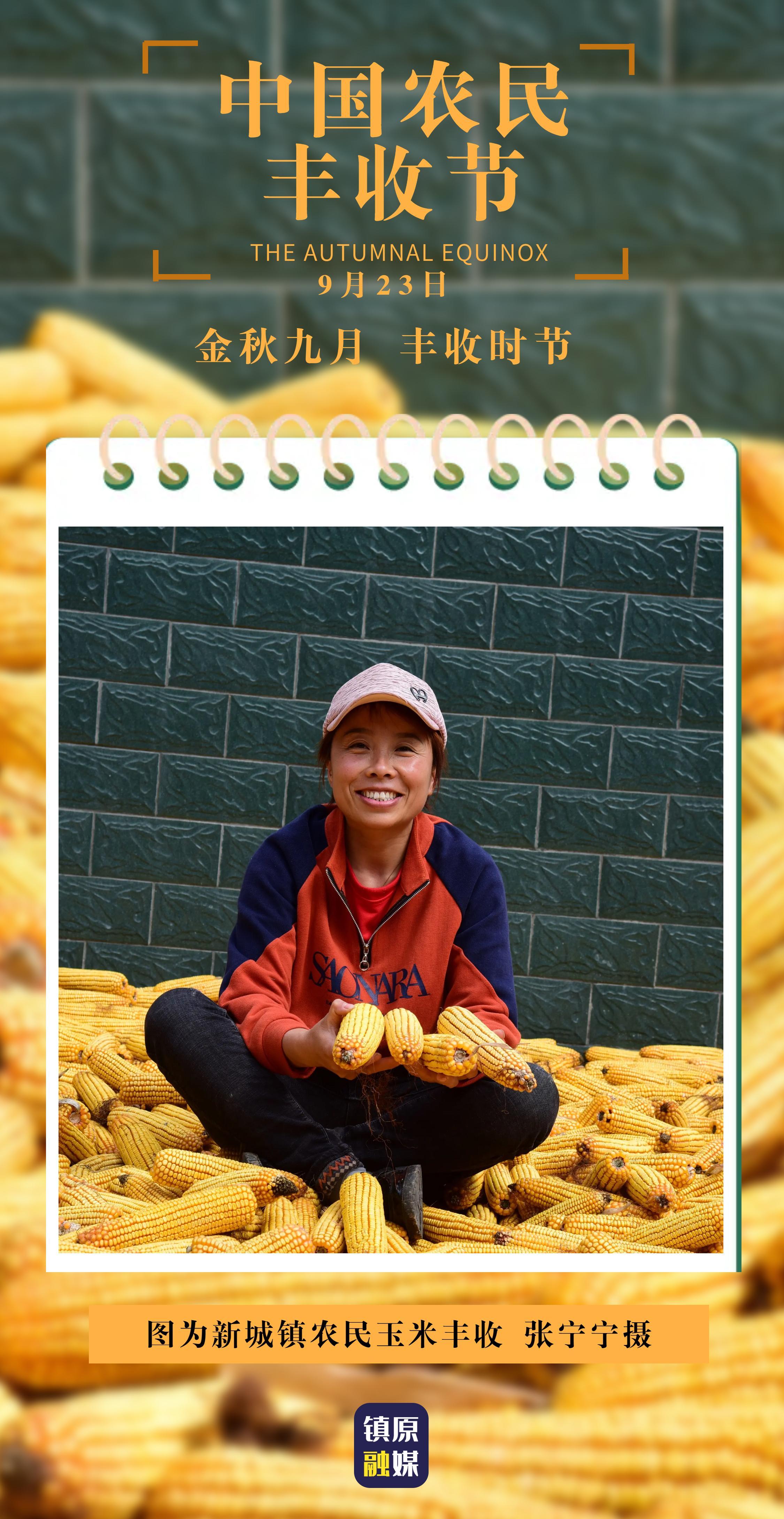 【中國(guó)農(nóng)民豐收節(jié)】鎮(zhèn)原：金秋九月 豐收時(shí)節(jié)