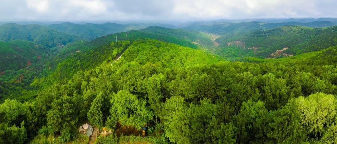 慶陽的初秋，是什么味道