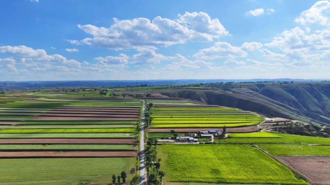 到慶陽，邂逅秋天的小美好