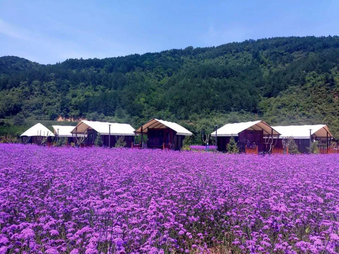 慶陽，一天內(nèi)美出四種色調(diào)