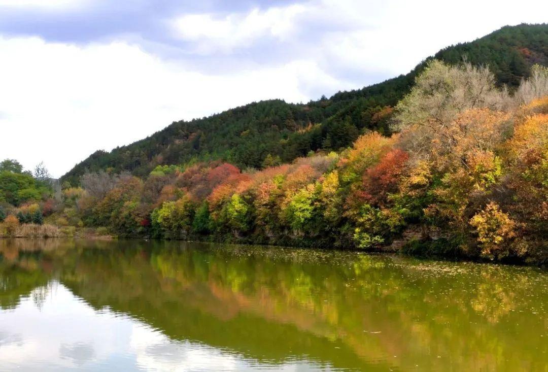 初冬，子午嶺上斑斕多姿，漫瀉大地