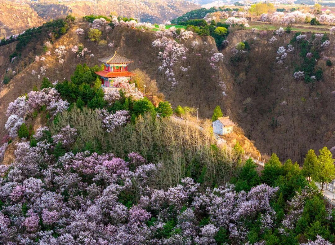 突然間，慶陽(yáng)的這些地方就美成了這樣……