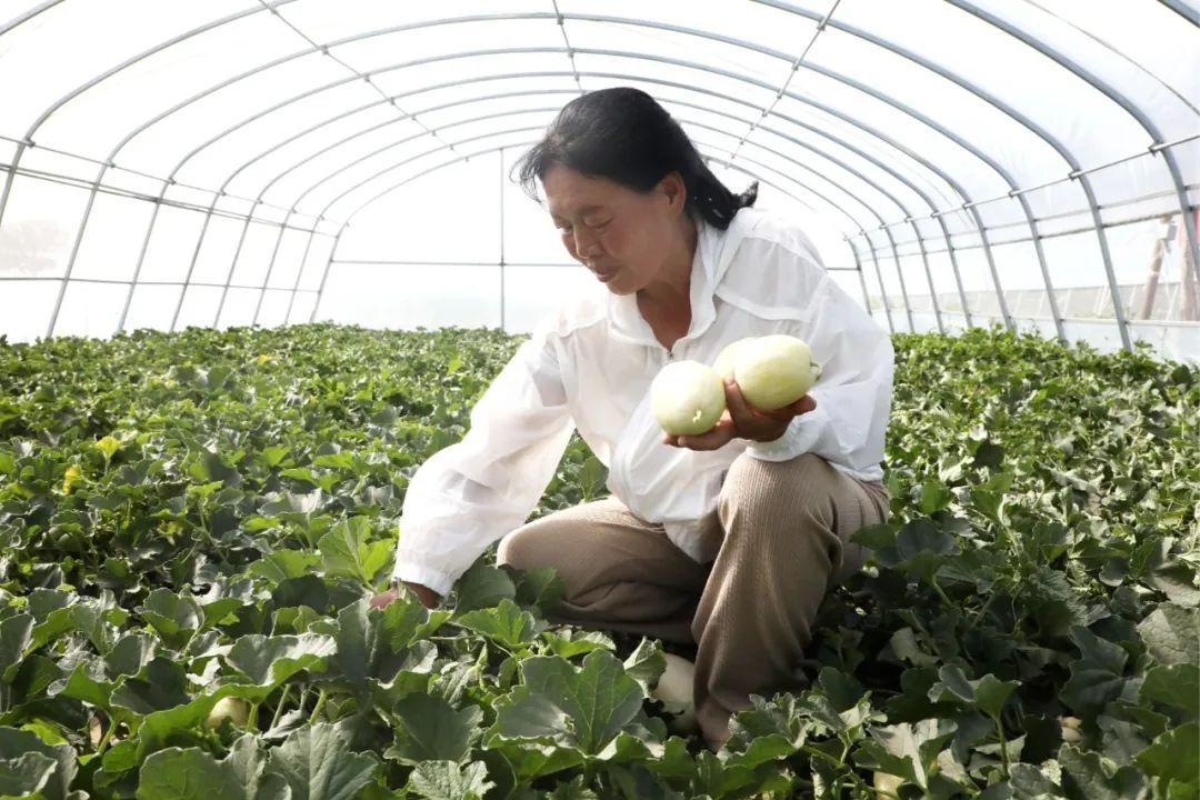 aa0a14b82d770a9663a5e9aabff2067d_f78db43ba2ff4d2189fd0a0b0b045cd6.jpg aa0a14b82d770a9663a5e9aabff2067d_f78db43ba2ff4d2189fd0a0b0b045cd6.jpg