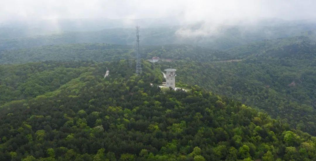 以慶陽夏天的名義，我們____