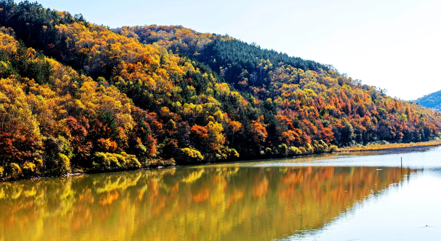 鞏建輝 | 寫(xiě)慶陽(yáng)