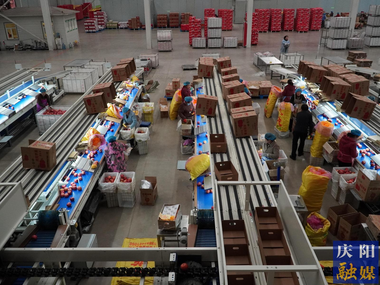 【攝影報道】慶陽融媒小記者探訪蘋果現代化產業(yè)園區(qū)