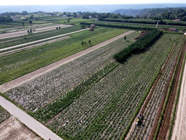 合水縣實施高標準農田建設1.29萬畝