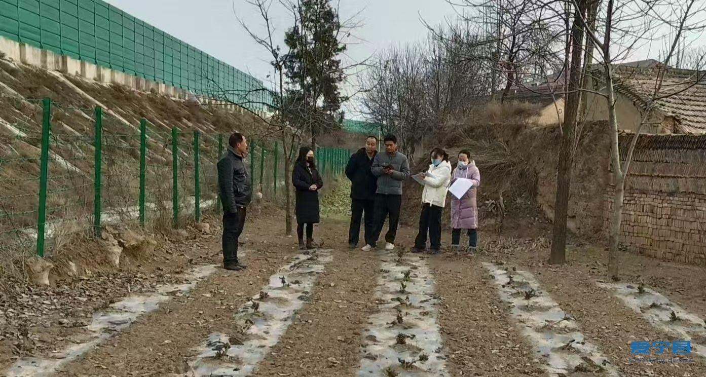 寧縣開展金銀花產業(yè)發(fā)展情況全面核驗工作