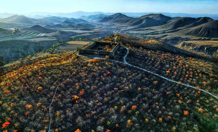 【新青年 · 00后文學】花開古城（左佳禾）