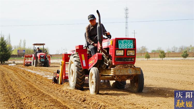 今年地咋種？來看權威指導——2025年慶陽市春播主要農(nóng)作物品種布局指導意見出臺
