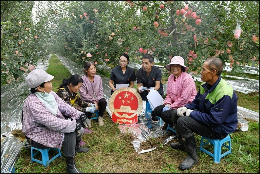 【法治慶陽(yáng)】新“楓”正勁 向“治”而行——西峰區(qū)人民法院后官寨法庭創(chuàng)建“楓橋式人民法庭”工作紀(jì)實(shí)