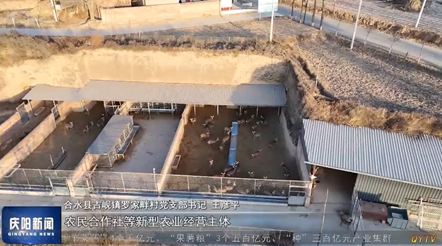 《慶陽(yáng)新聞》 2025年3月6日