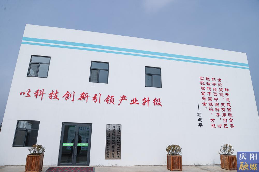 【攝影報道】馬鈴薯種薯繁育：賦能糧食優(yōu)質(zhì)高產(chǎn) 助力群眾就業(yè)增收