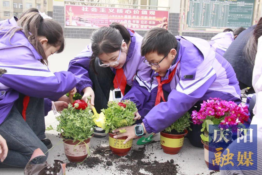 【點亮美好教育】“植”此青綠 共赴春天 西峰區(qū)新建小學開展植樹節(jié)主題活動
