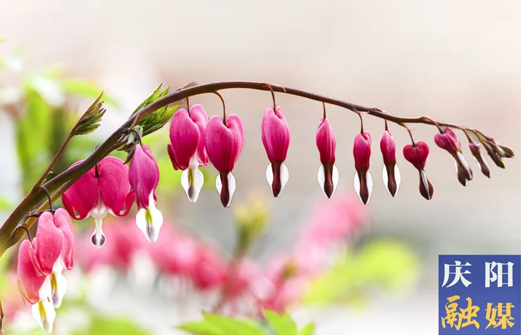 北地詩(shī)陣 | 詩(shī)四首（尚宗漢）