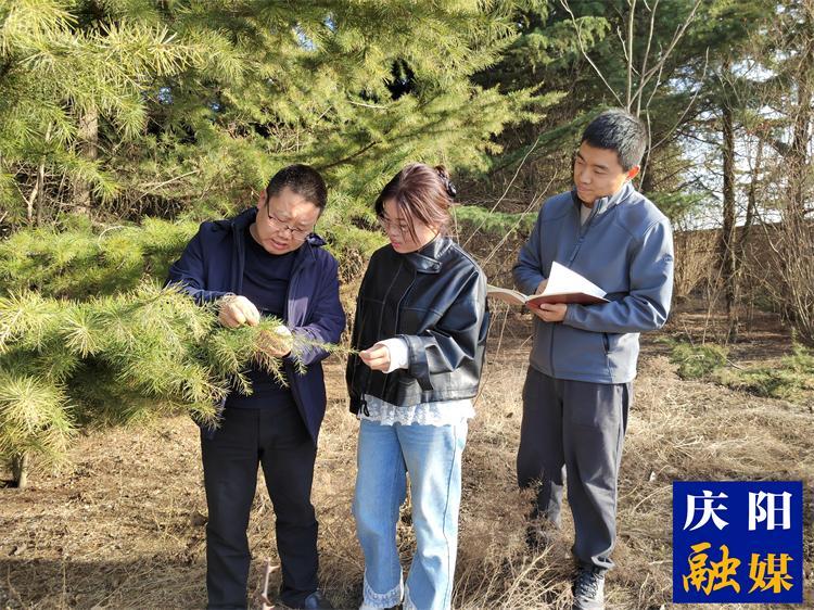 【報(bào)效祖國 建功西部】心懷生態(tài)夢  追“綠”寫忠誠  ——記慶陽市林科所林草濕荒綜合治理研究室主任徐建民