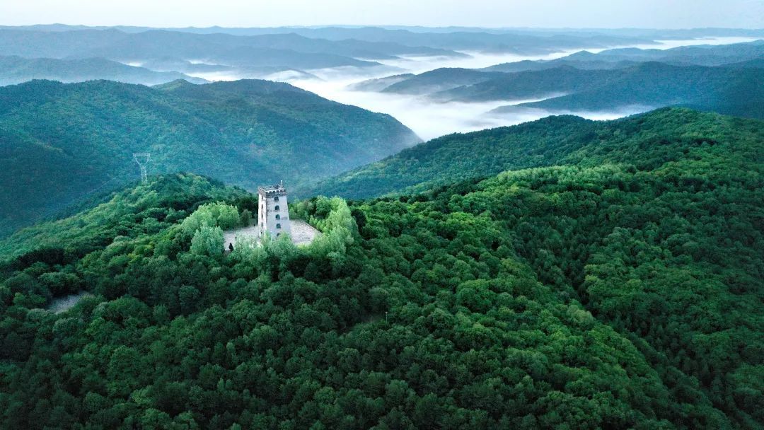 正寧縣干群攜手植綠 實(shí)現(xiàn)生態(tài)經(jīng)濟(jì)雙贏