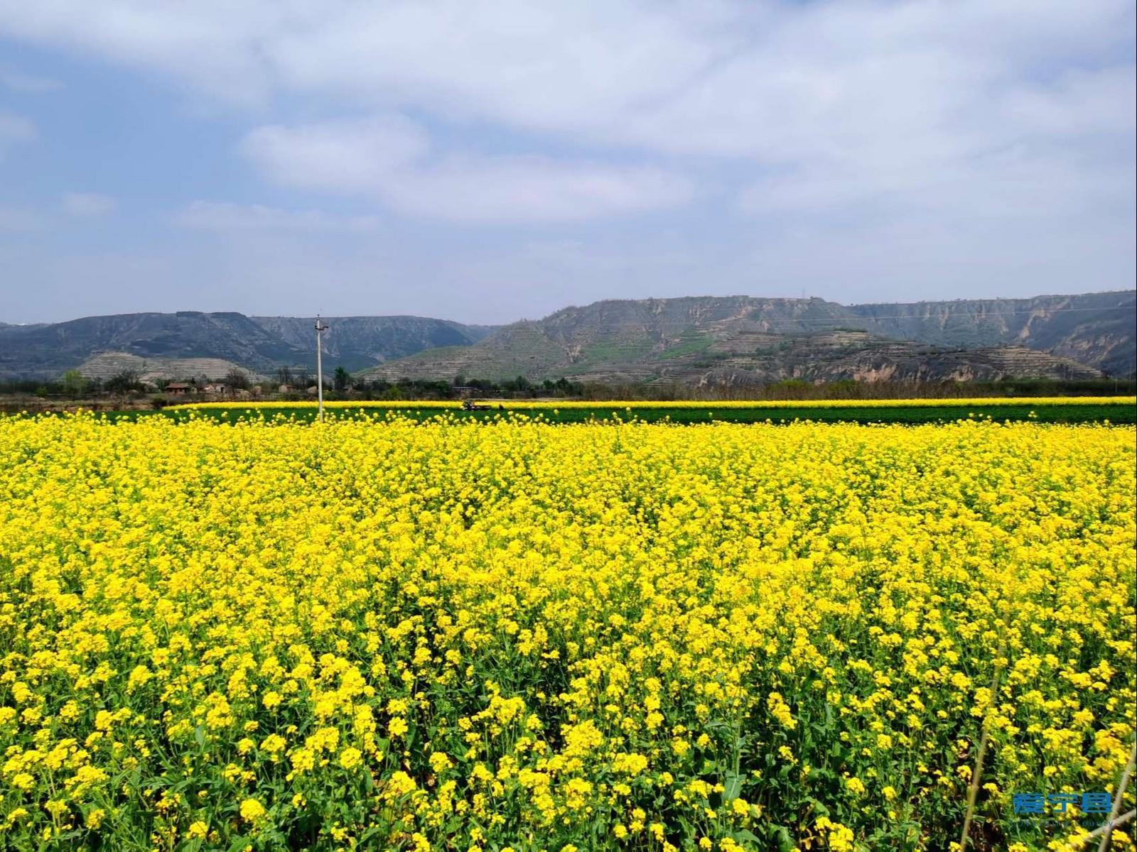 寧縣： 五一假期 農(nóng)文旅融合助推鄉(xiāng)村游持續(xù)升溫