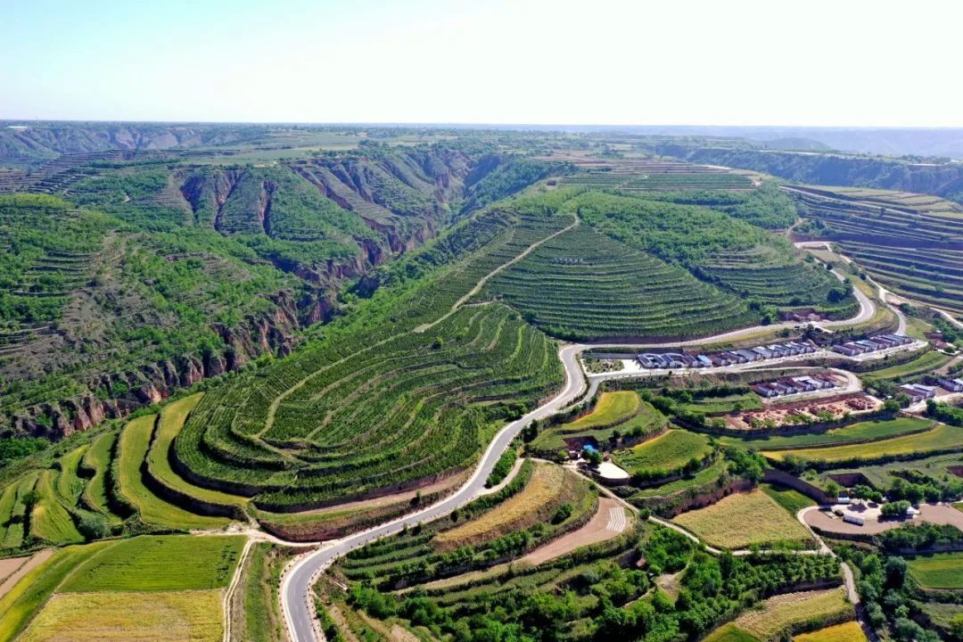 生態(tài)慶陽丨董志塬上書寫綠色答卷