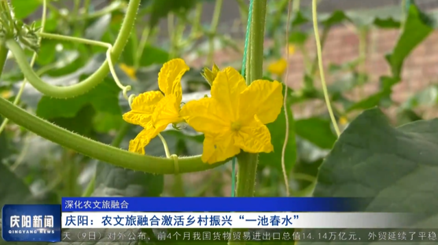 《慶陽新聞》2025年5月9日