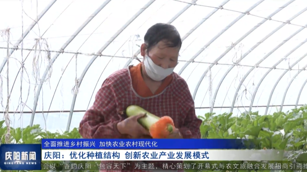 《慶陽新聞》2025年5月13日