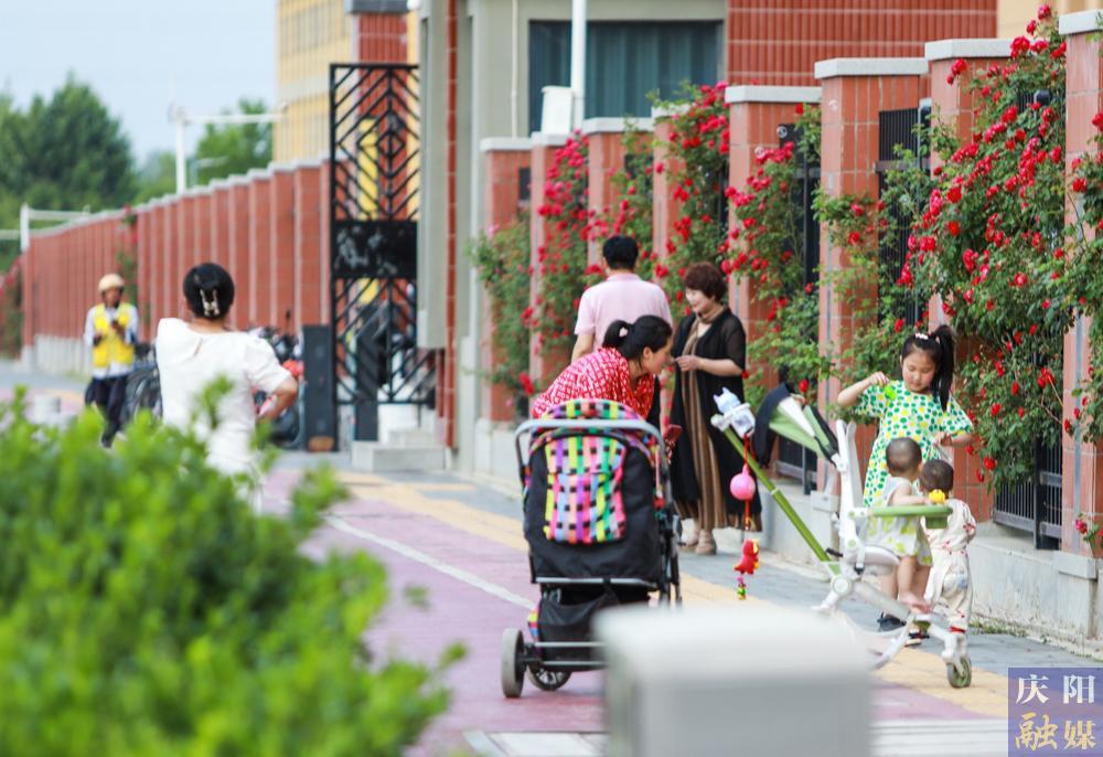 【攝影報(bào)道】薔薇花開！邂逅夏日的浪漫