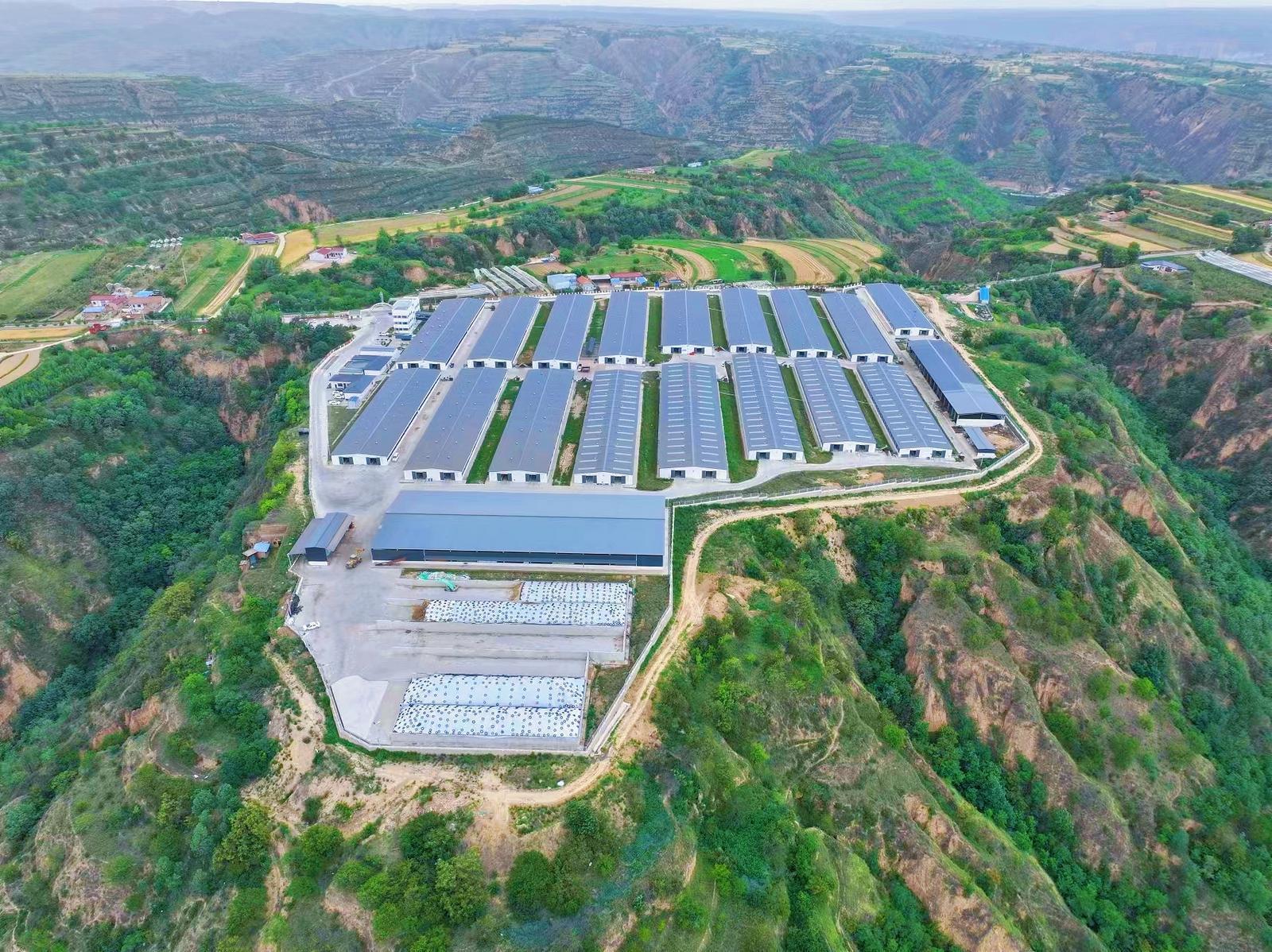 慶城：筑牢防疫堡壘 護航畜牧產業(yè)行穩(wěn)致遠