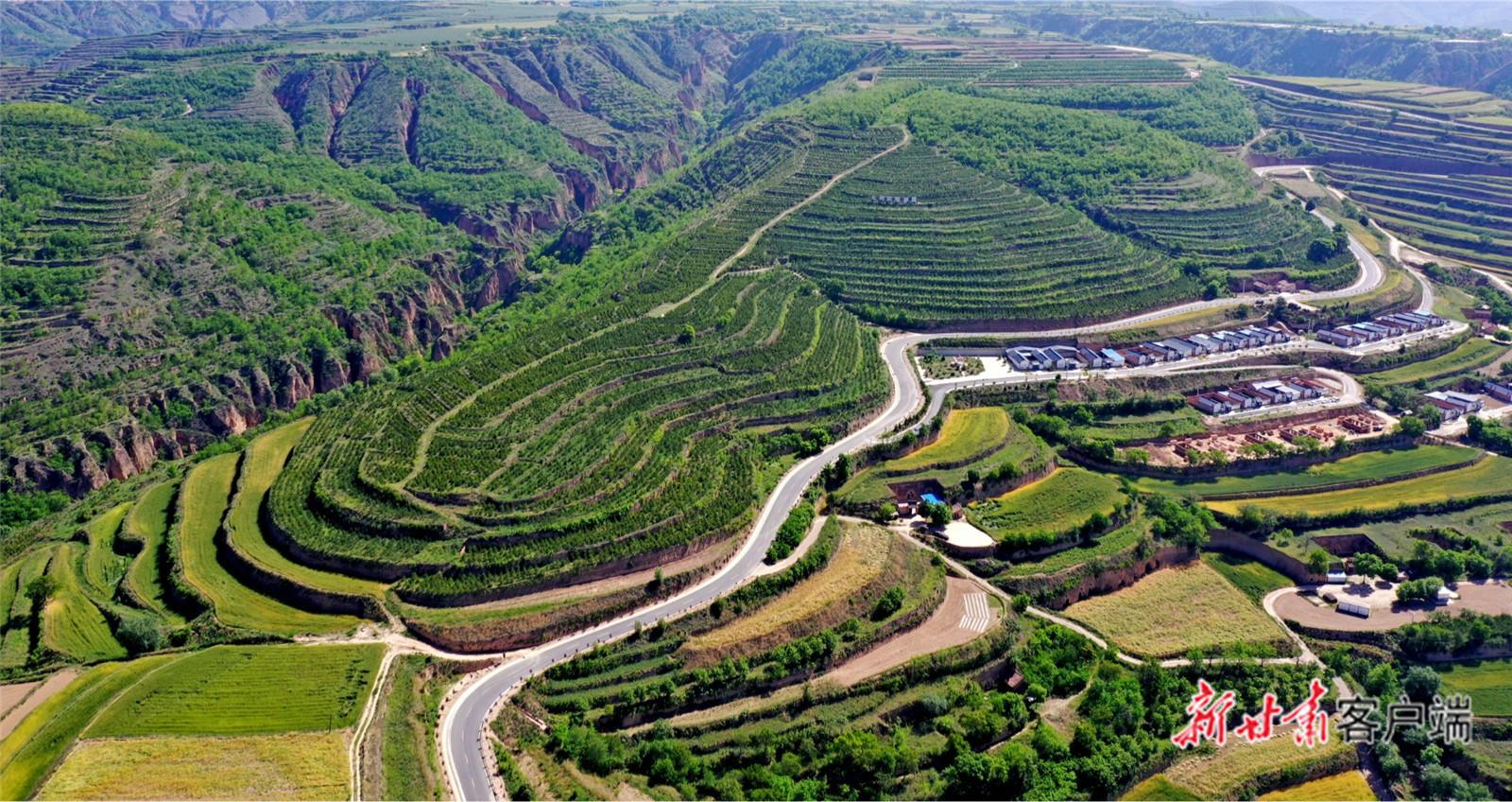 【建設美麗甘肅 推進“三北”工程 構筑“綠色長城”】萬里逐綠 譜寫“三北”工程新篇章——甘肅以系統(tǒng)治理筑牢西部生態(tài)安全防線