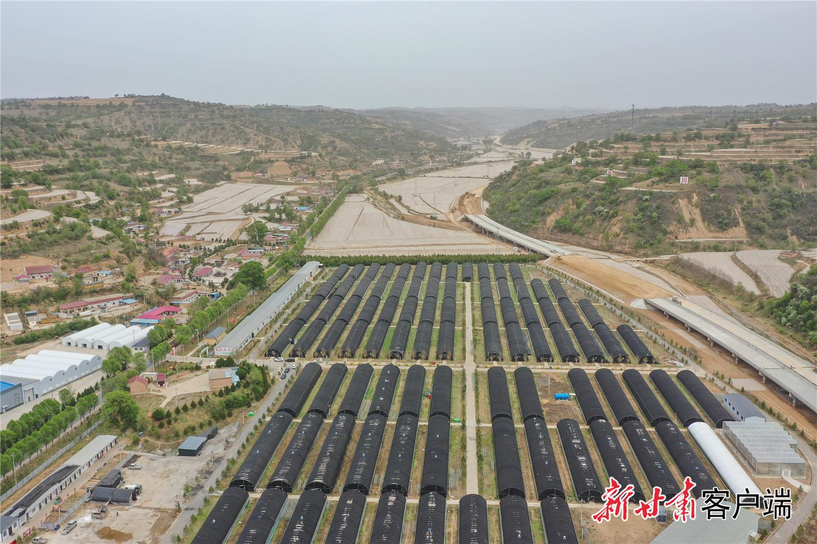 【強信心 看發(fā)展·高質量發(fā)展調研行】奏響農業(yè)可持續(xù)發(fā)展新樂章——慶陽市 “三元雙向” 循環(huán)農業(yè)模式觀察