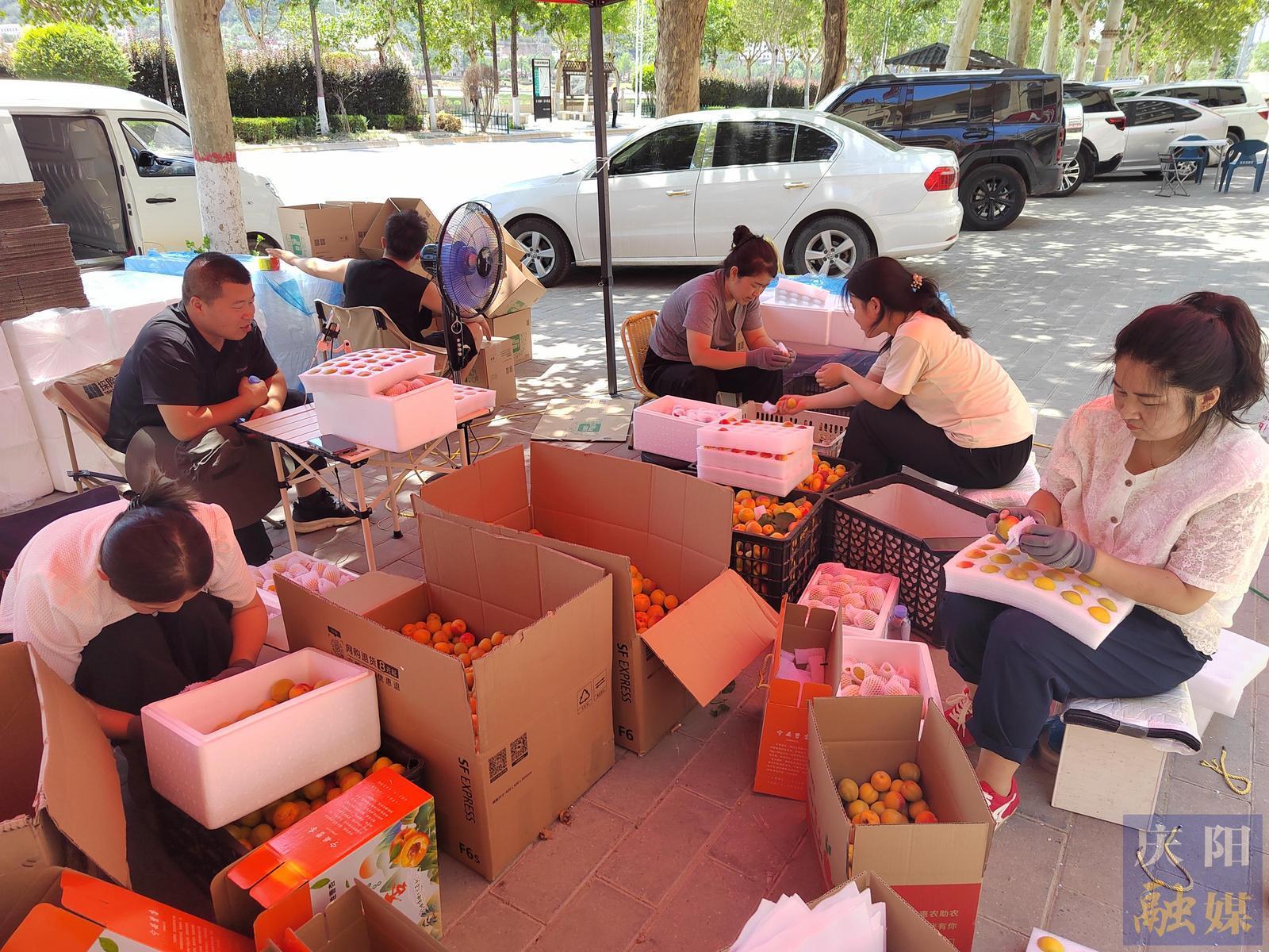 【攝影報(bào)道】寧縣曹杏搭上電商“順風(fēng)車(chē)”