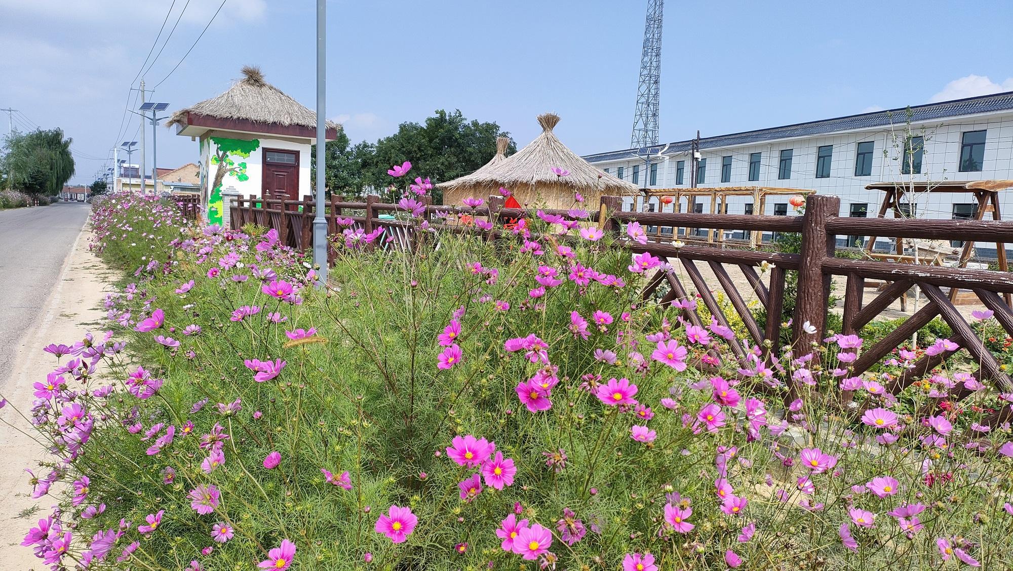 廟渠鎮(zhèn)：人大代表當“參謀”共繪鄉(xiāng)村振興圖