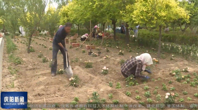 《慶陽(yáng)新聞》2025年7月17日