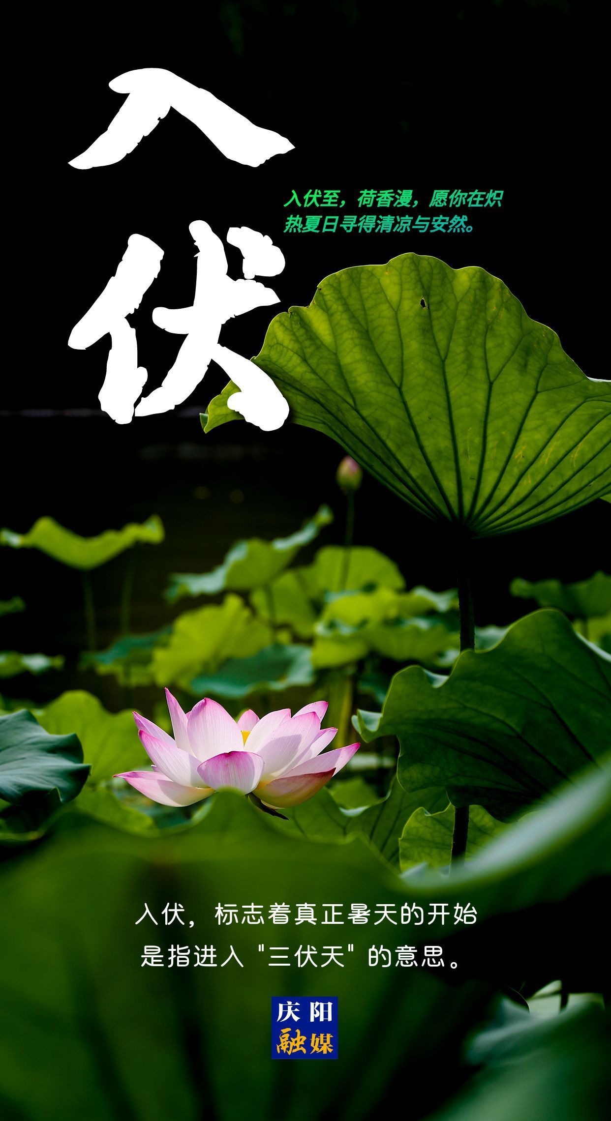 【微海報(bào)】今日入伏丨愿你安然度夏！